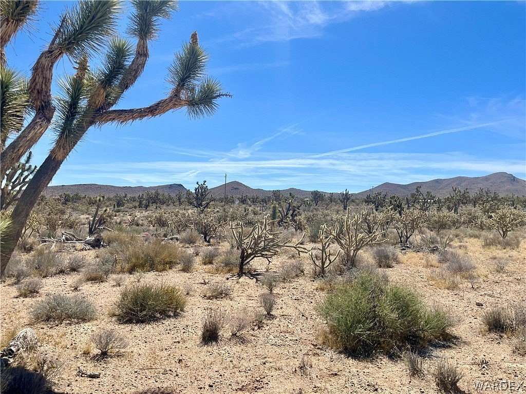 1 Acre of Residential Land for Sale in Dolan Springs, Arizona