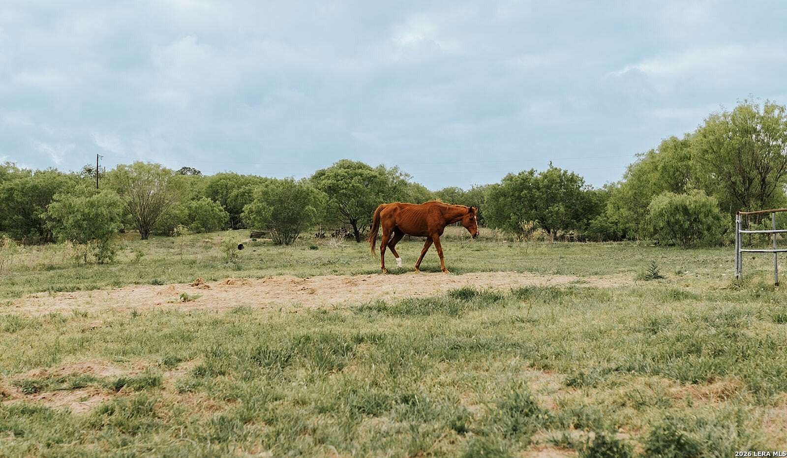 146 Acres of Land for Sale in Seguin, Texas