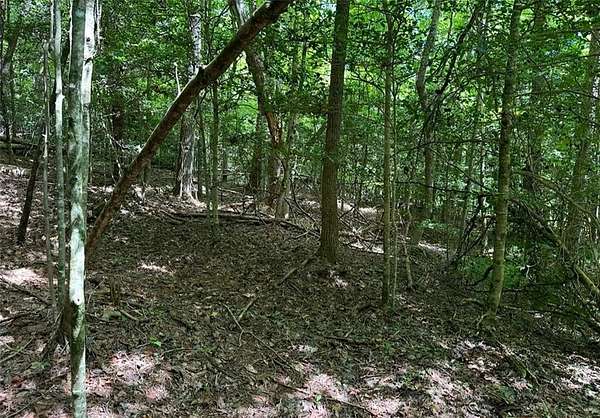 1.43 Acres of Residential Land for Sale in Ellijay, Georgia