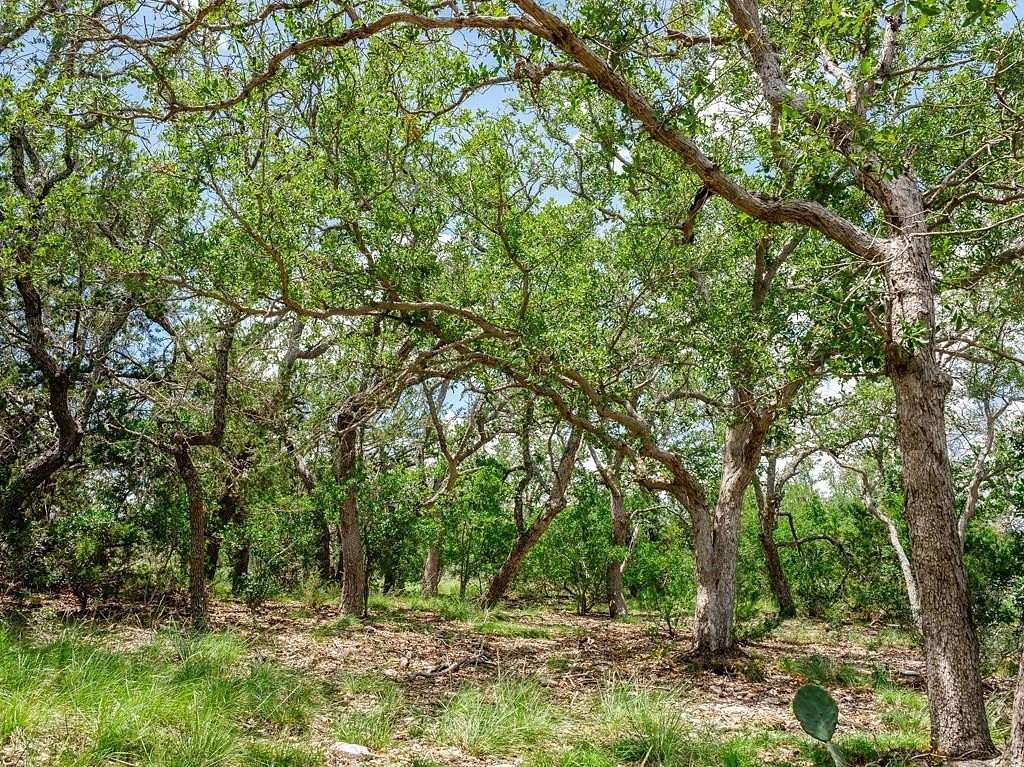 10 Acres of Land for Sale in Doss, Texas