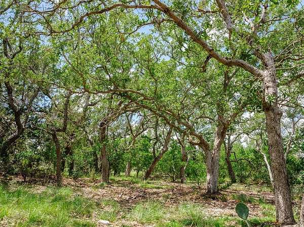 10 Acres of Recreational & Residential Land for Sale in Doss, Texas