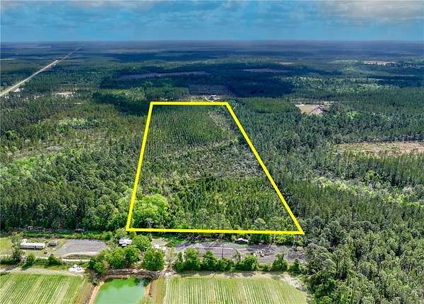 31.8 Acres of Land for Sale in Manor, Georgia