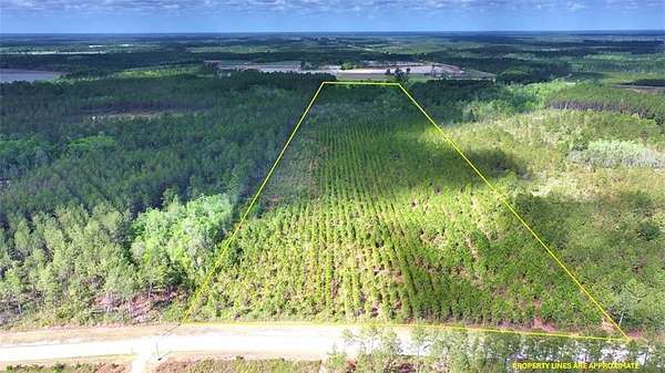 31.8 Acres of Land for Sale in Manor, Georgia