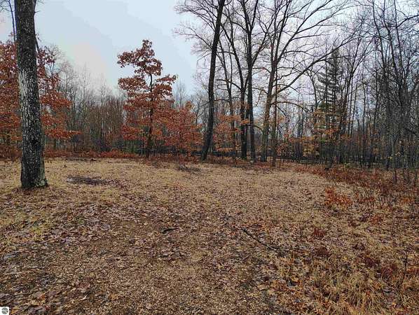 0.58 Acres of Land for Sale in Gladwin, Michigan