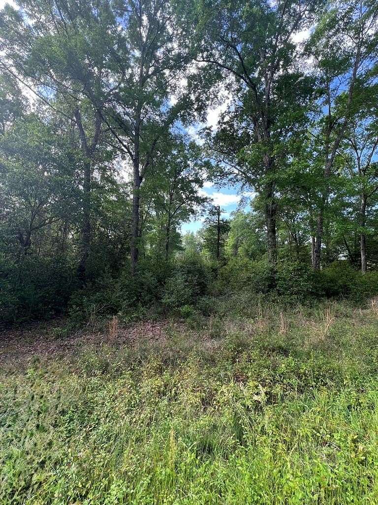 1 Acre of Residential Land for Sale in Cordele, Georgia