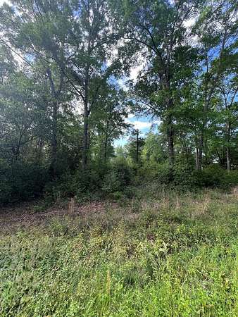 1 Acre of Residential Land for Sale in Cordele, Georgia