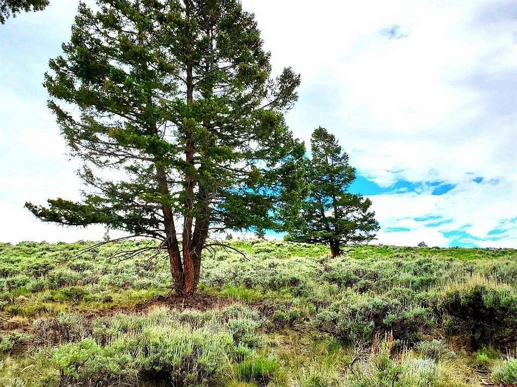 2 Acres of Residential Land for Sale in Powderhorn, Colorado