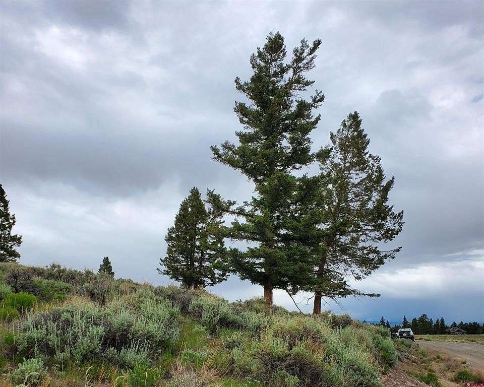 2 Acres of Residential Land for Sale in Powderhorn, Colorado