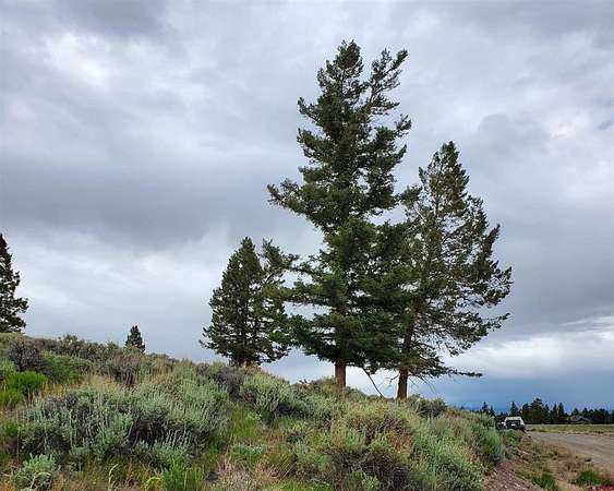 2 Acres of Residential Land for Sale in Powderhorn, Colorado