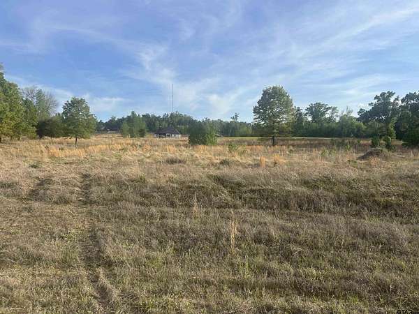 3 Acres of Residential Land for Sale in Winona, Texas