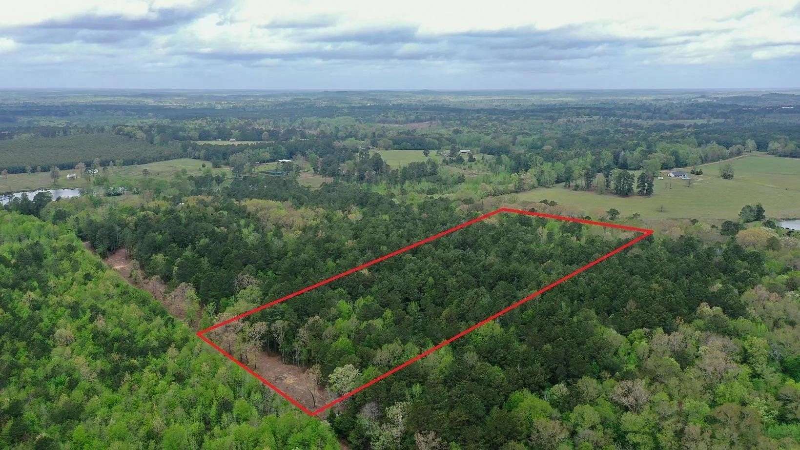 12.1 Acres of Recreational & Residential Land for Sale in Linden, Texas