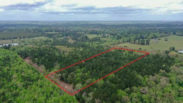 12.1 Acres of Recreational & Residential Land for Sale in Linden, Texas