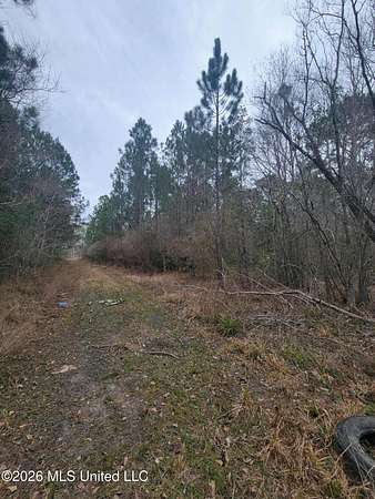 1.55 Acres of Residential Land for Sale in Gulfport, Mississippi