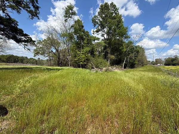 36.5 Acres of Recreational & Residential Land for Sale in Brundidge, Alabama