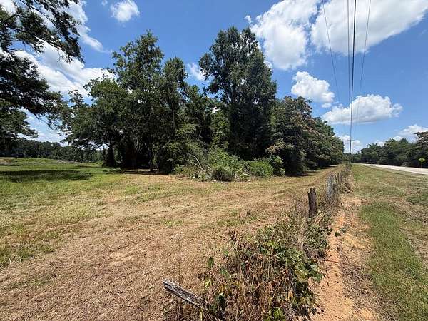 36.5 Acres of Recreational & Residential Land for Sale in Brundidge, Alabama