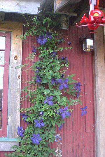 8 Acres of Land with Home for Lease in Hurleyville, New York