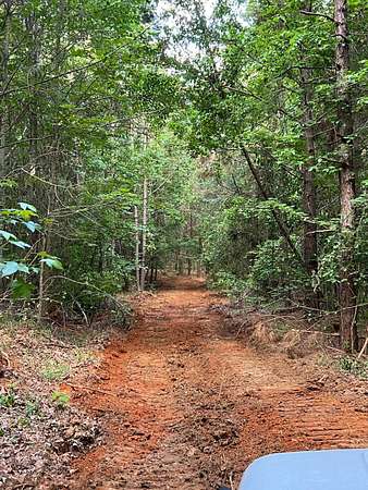 46 Acres of Land for Sale in Grenada, Mississippi