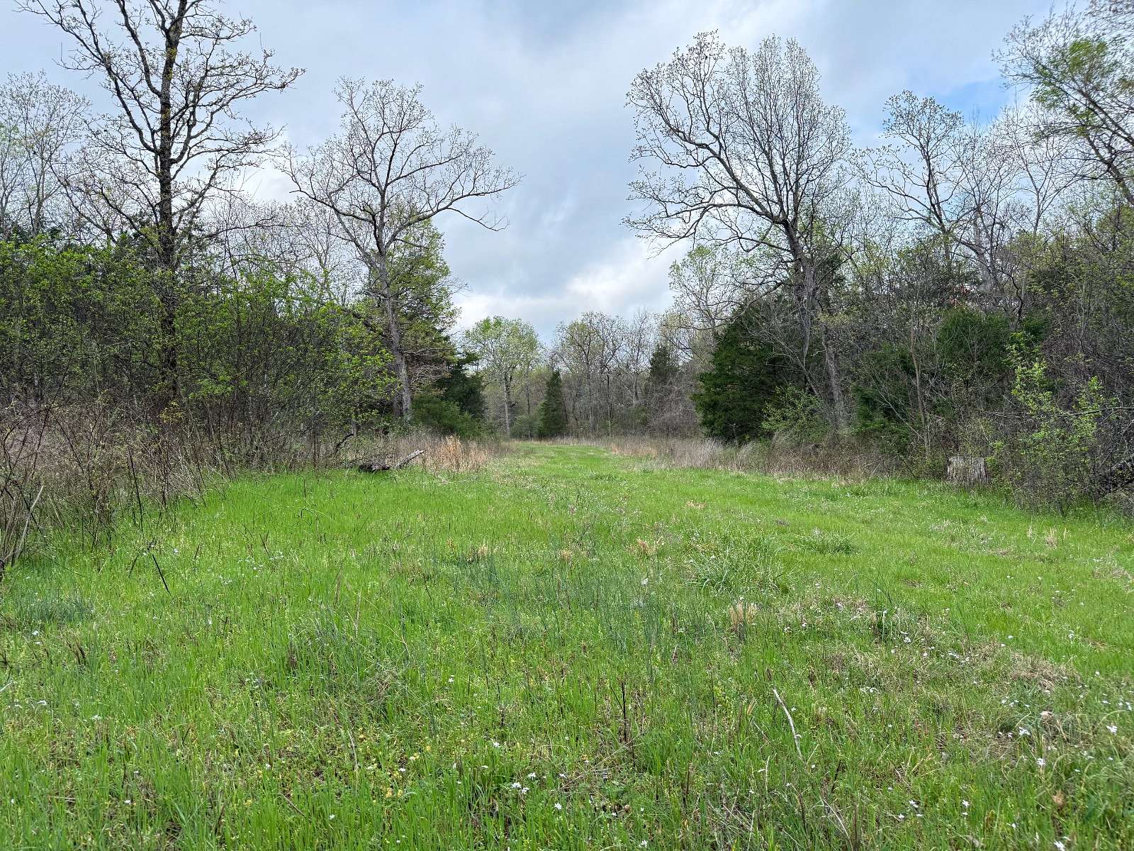 40 Acres of Recreational & Residential Land for Sale in Evening Shade, Arkansas