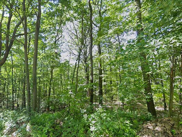 4.4 Acres of Residential Land for Sale in Saxton, Pennsylvania