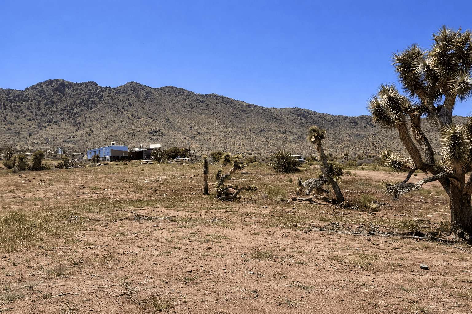 1 Acre of Residential Land for Sale in Dolan Springs, Arizona