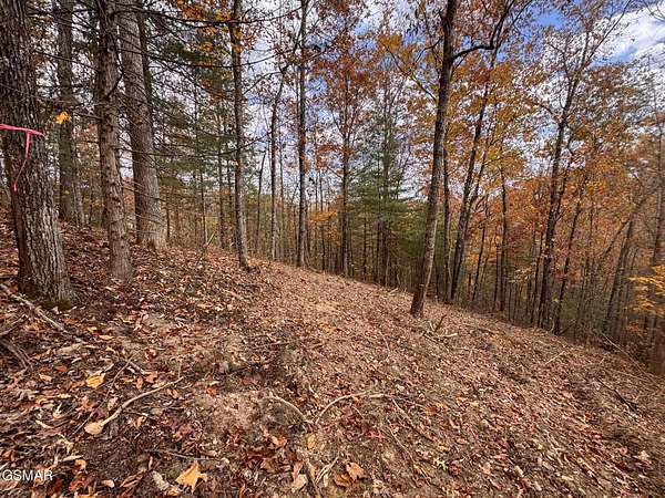 1.28 Acres of Residential Land for Sale in Sevierville, Tennessee