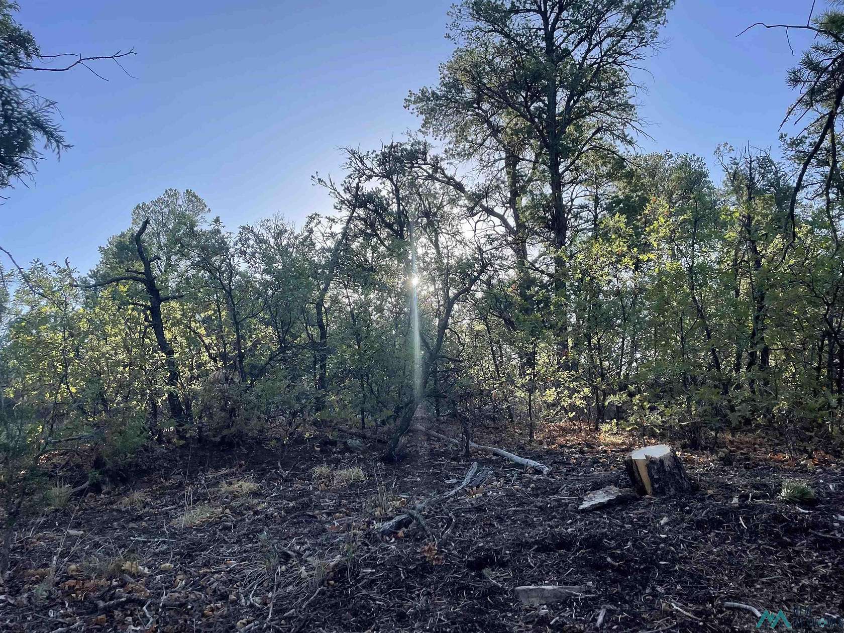 4.46 Acres of Land for Sale in Ramah, New Mexico