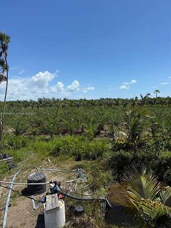 9.77 Acres of Land for Sale in Homestead, Florida
