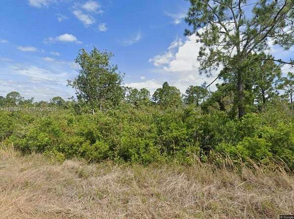 0.23 Acres of Residential Land for Sale in Lake Placid, Florida