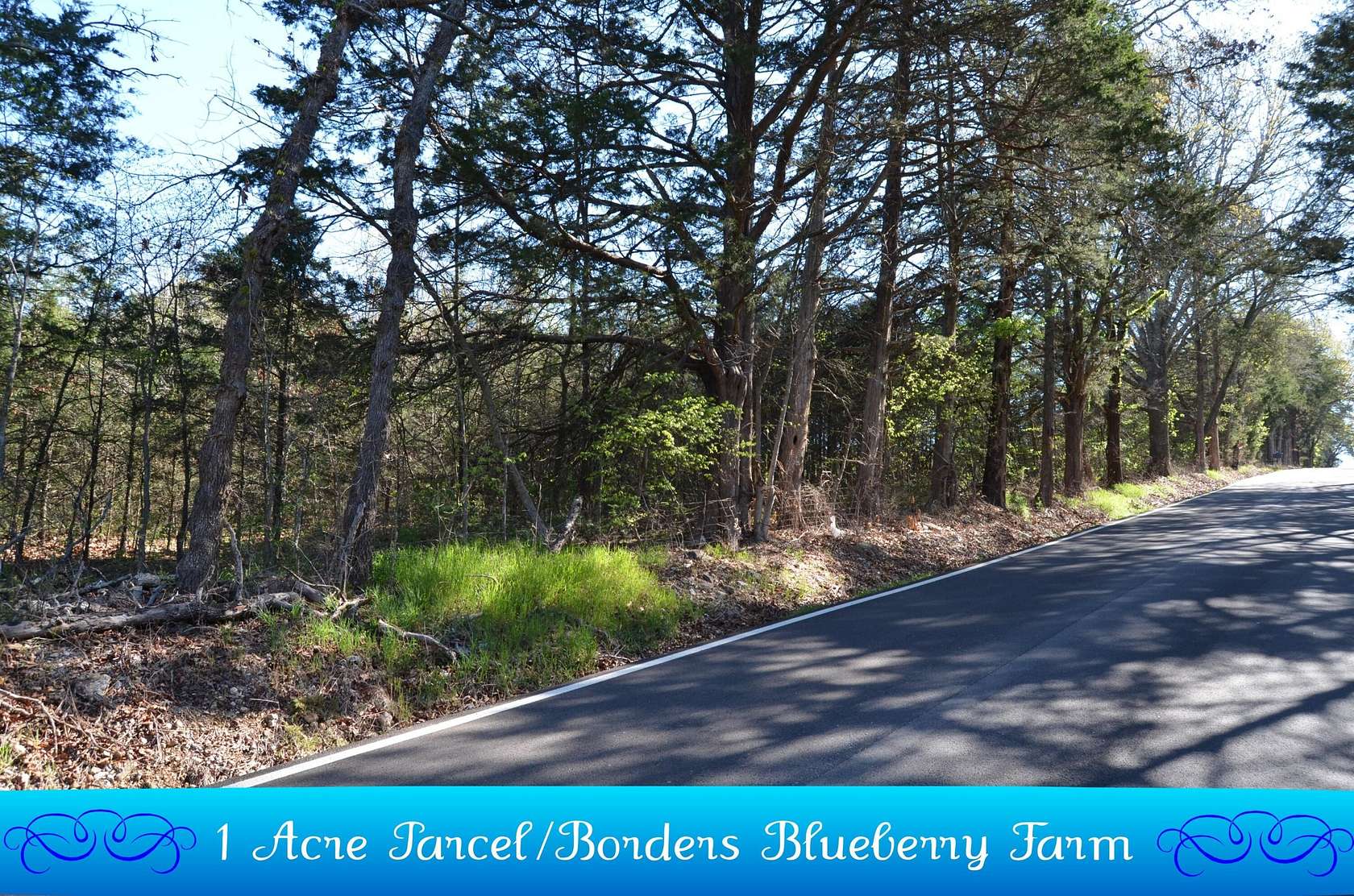 1.1 Acres of Residential Land for Sale in Lampe, Missouri