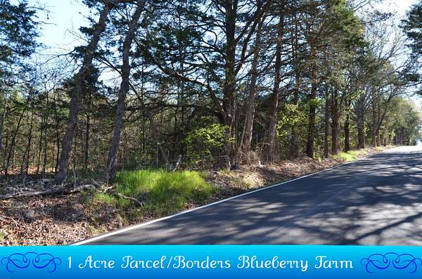 1.1 Acres of Residential Land for Sale in Lampe, Missouri