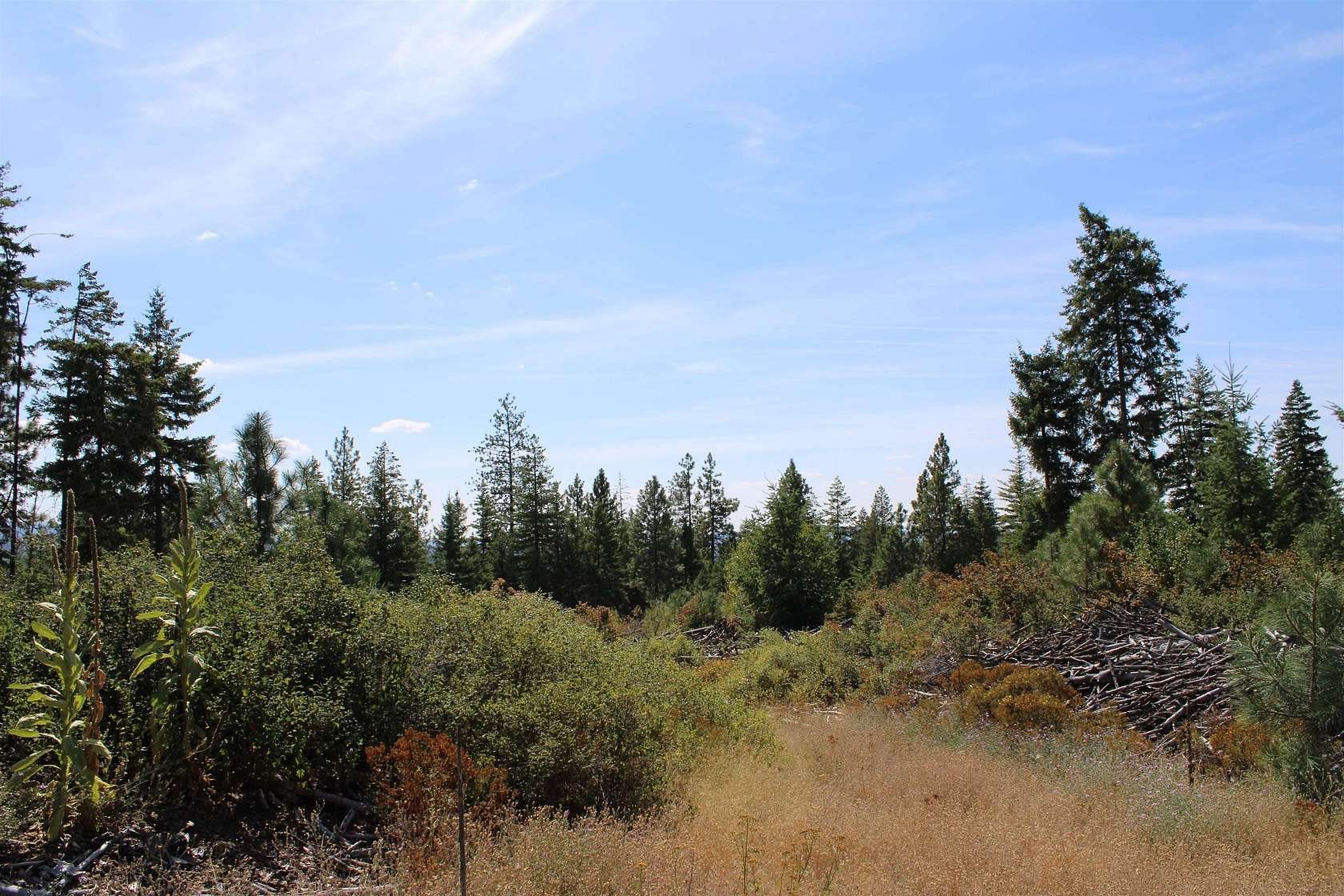 40 Acres of Recreational & Residential Land for Sale in Elk, Washington