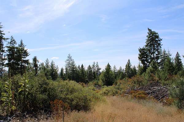 40 Acres of Recreational & Residential Land for Sale in Elk, Washington
