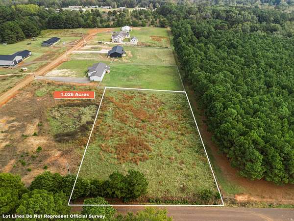 1 Acre of Residential Land for Sale in Diana, Texas