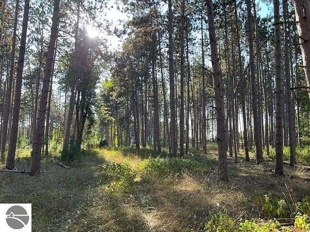 10 Acres of Recreational & Residential Land for Sale in Williamsburg, Michigan