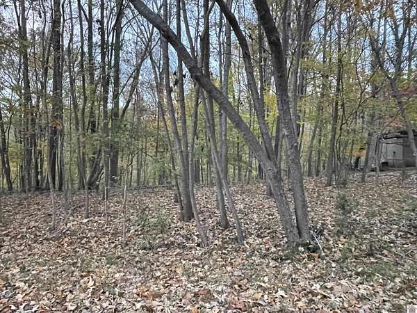 0.24 Acres of Residential Land for Sale in Cadiz, Kentucky