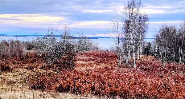 95.3 Acres of Recreational Land for Sale in Robbinston, Maine