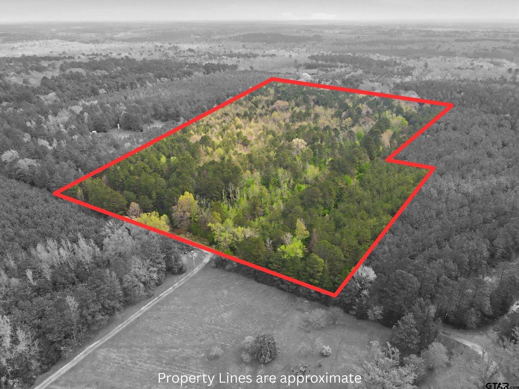 30 Acres of Recreational & Residential Land for Sale in Linden, Texas