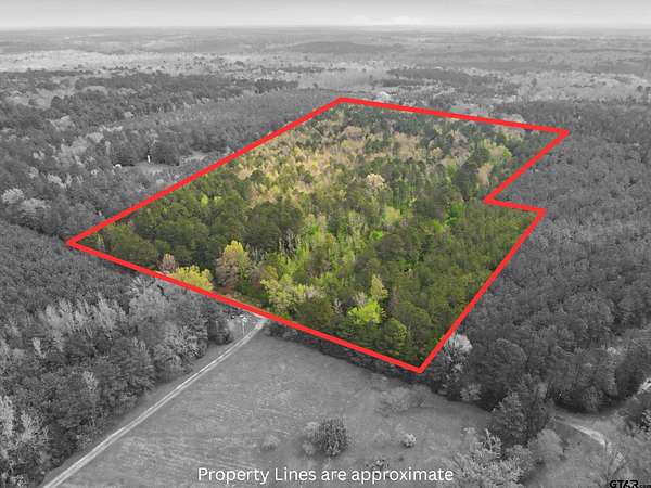 30 Acres of Recreational & Residential Land for Sale in Linden, Texas