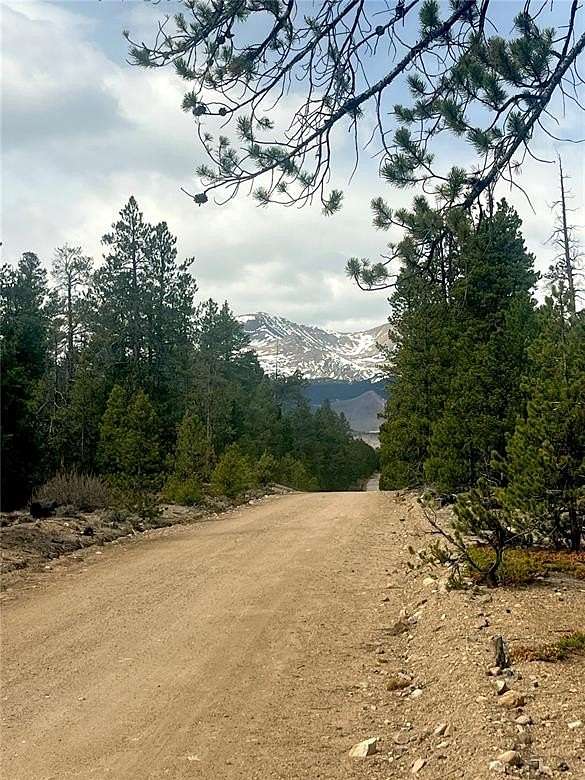 0.6 Acres of Residential Land for Sale in Twin Lakes, Colorado