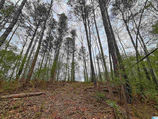 2.4 Acres of Residential Land for Sale in Birmingham, Alabama