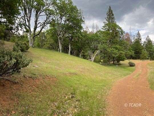 160 Acres of Land for Sale in Hayfork, California