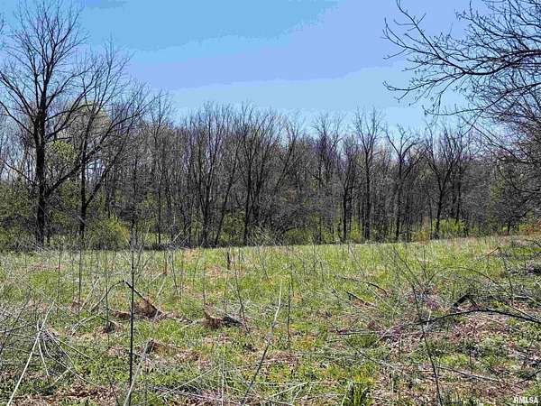 Residential Land for Sale in Chatham, Illinois