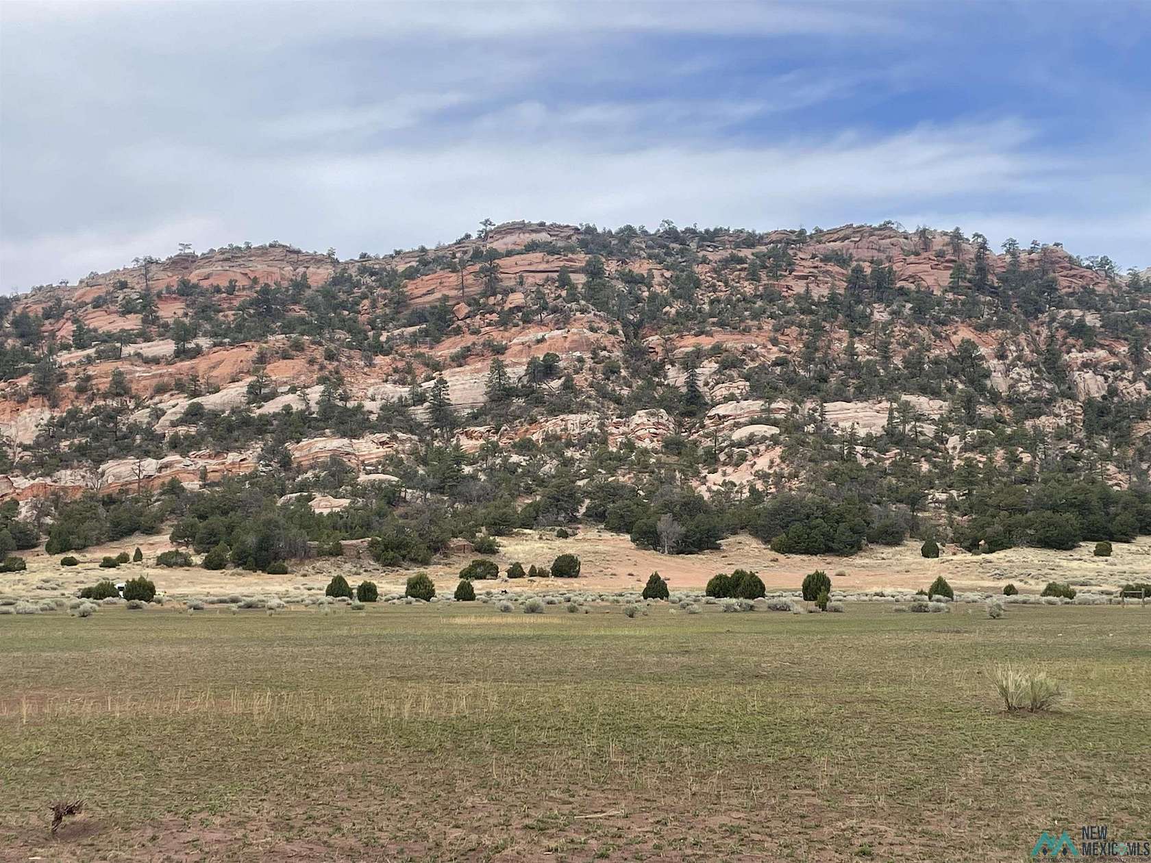 20 Acres of Land for Sale in Ramah, New Mexico