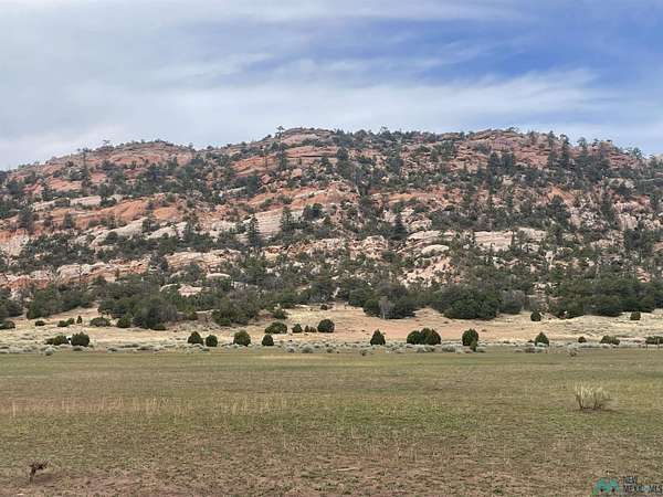 20 Acres of Land for Sale in Ramah, New Mexico