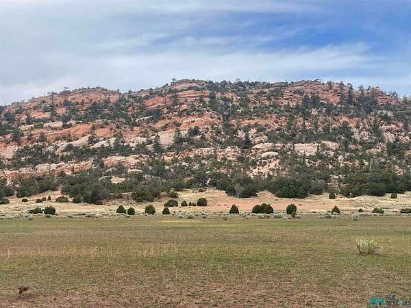 20 Acres of Land for Sale in Ramah, New Mexico