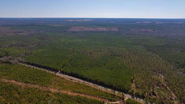 310 Acres of Recreational & Residential Land for Sale in Richland, Georgia