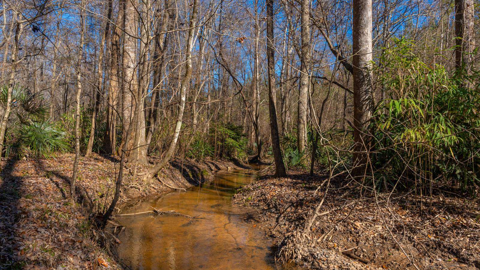 403 Acres of Land for Sale in Preston, Georgia