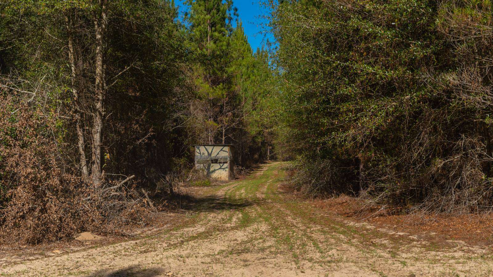 403 Acres of Land for Sale in Preston, Georgia