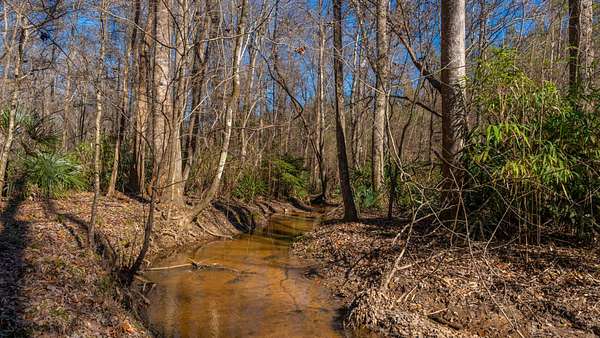 403 Acres of Land for Sale in Preston, Georgia
