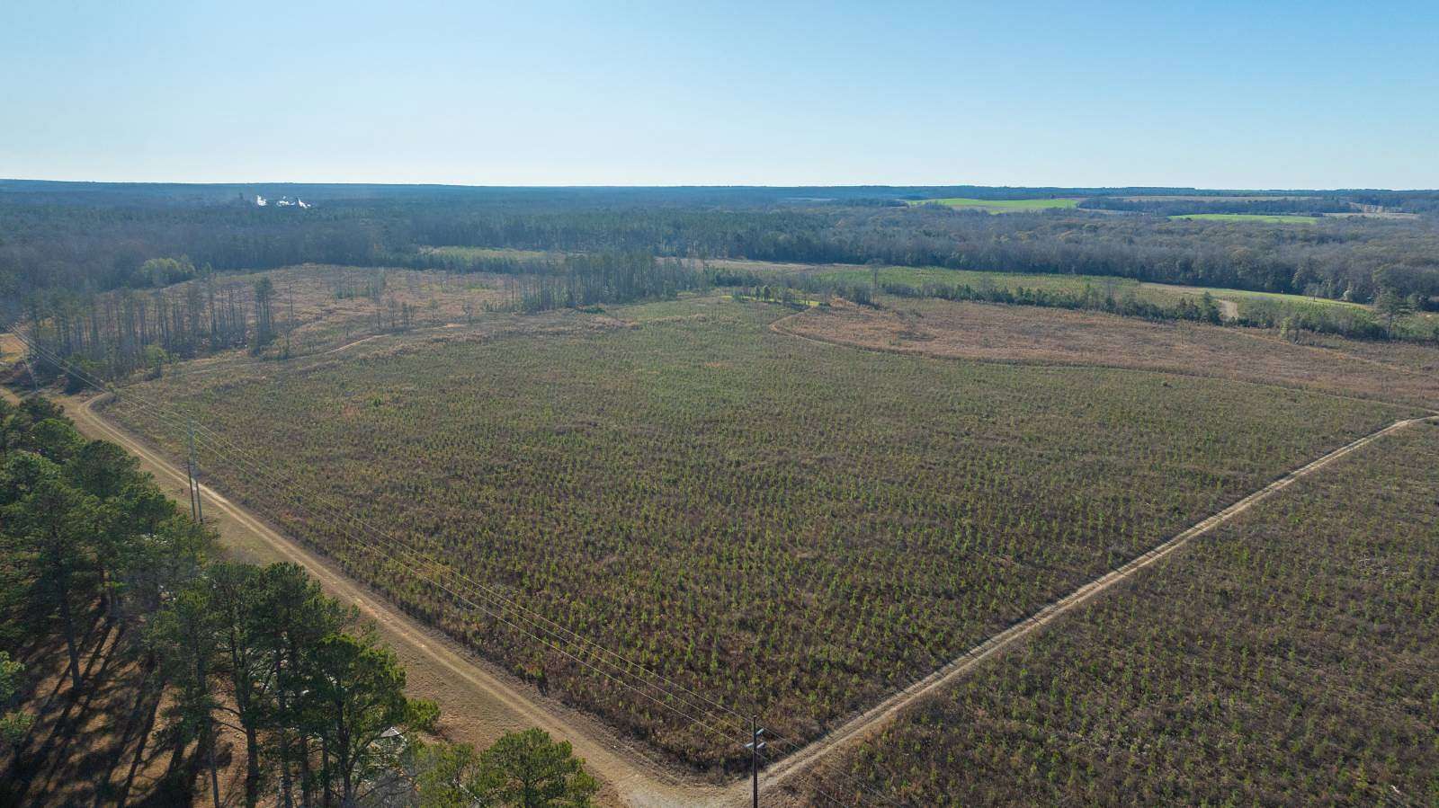 79 Acres of Land for Sale in Preston, Georgia